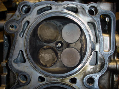 Driver's side engine heads.
